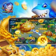 718bet com